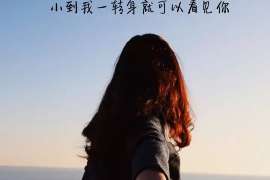 情感挽回服务关键词解析:洞察行业趋势与用户需求 情感挽回服务关键词解析:洞察行业趋势与用户需求